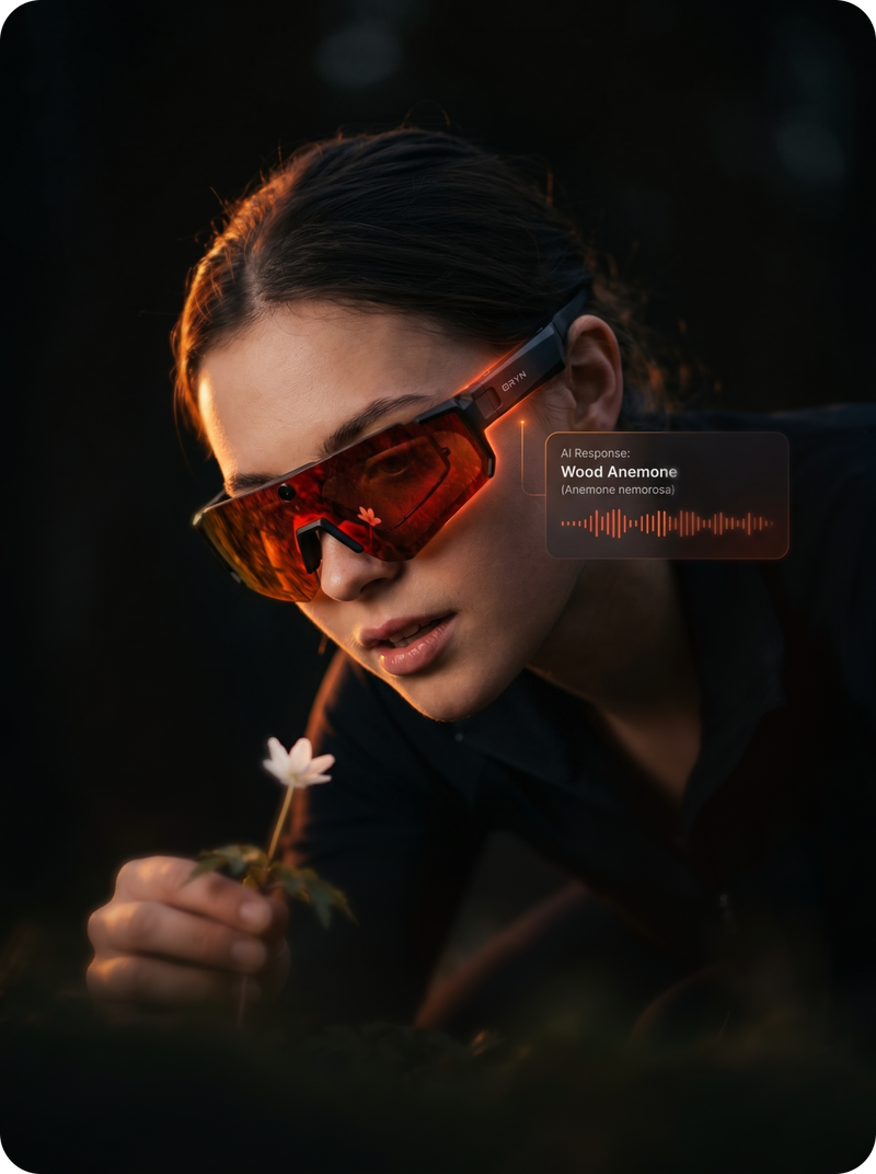 Person wearing orange sunglasses holding a flower with a dark background