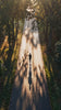 jogging in the morning